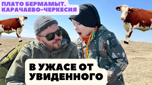 Плато Бермамыт. Как проехать. Этого мы не ожидали. Апрель часть2: Путешествие на юг России