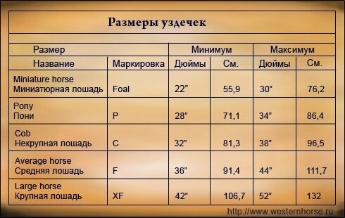 Размеры уздечек