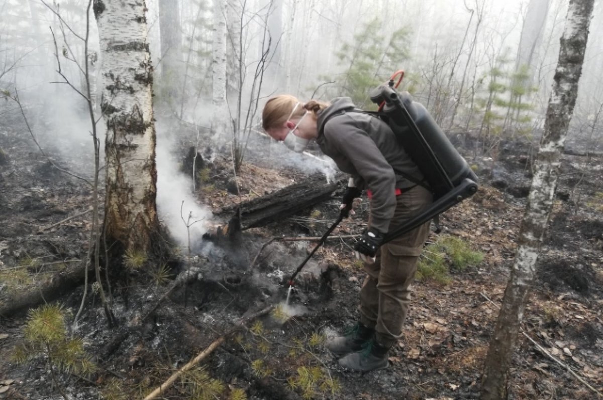    Сбор волонтеров на тушение пожаров объявлен в Свердловской области