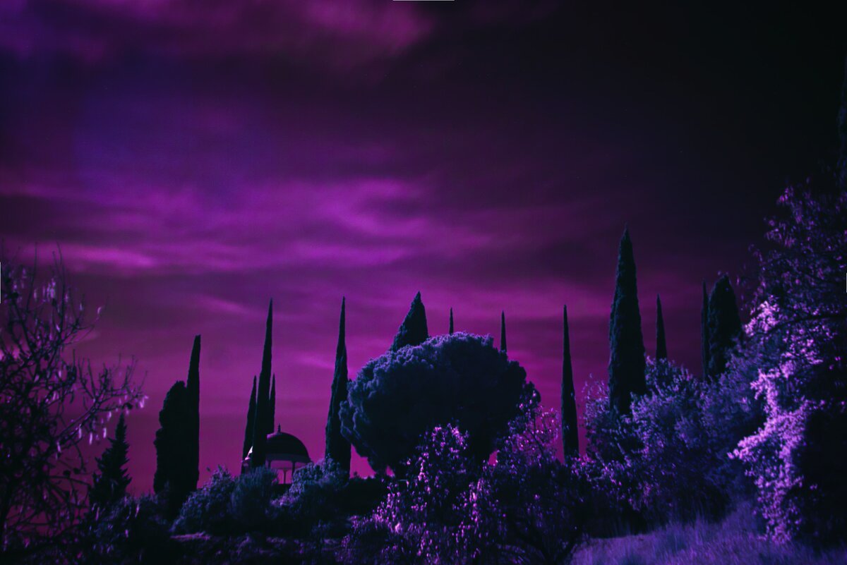 Как мы здесь оказались? Глава 18 (страшная история) | Мистические ...