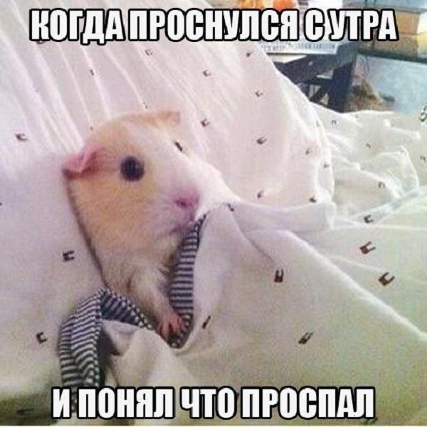 Фото взято из открытых источников Яндекс поиска 