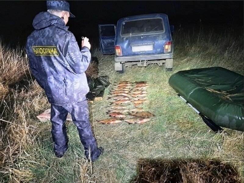 Результат досмотра машины