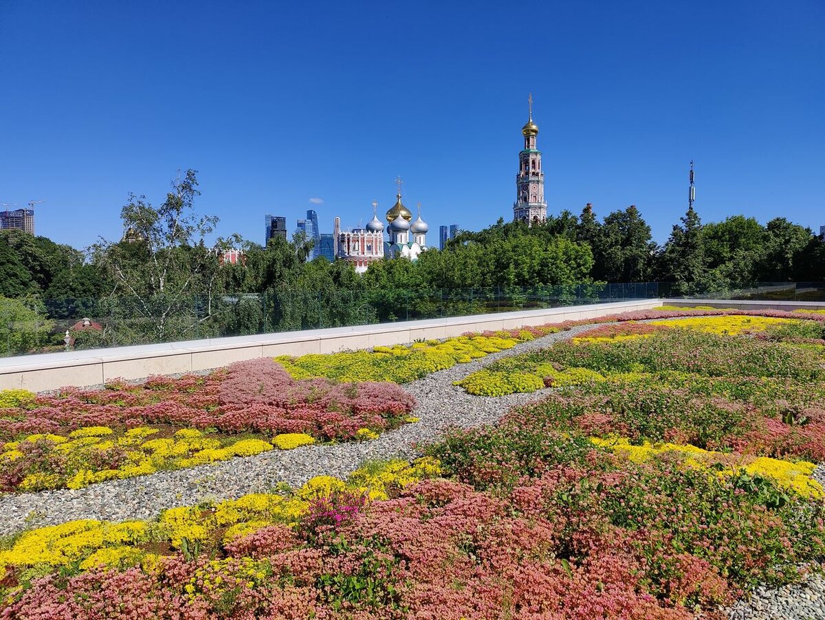 6 проблем города, которые помогает решить озеленение | РБК Тренды | Дзен