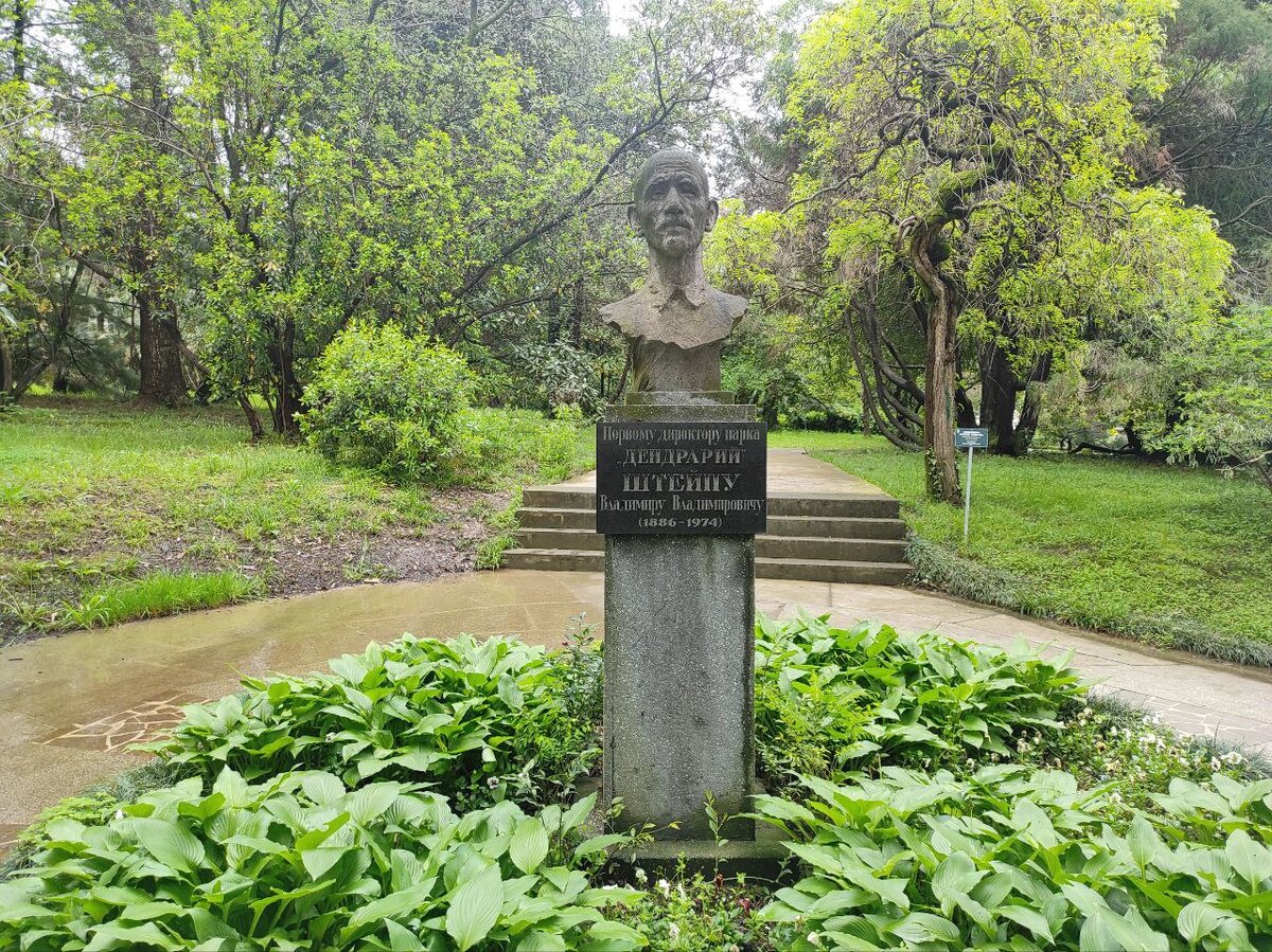 Первый директор Парка Дендрарий Штейпу Владимиру Владимировичу 