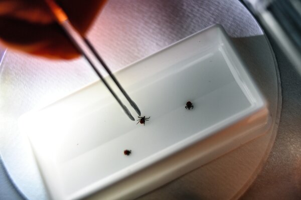 Фото: РИА Новости/Павел Лисицын