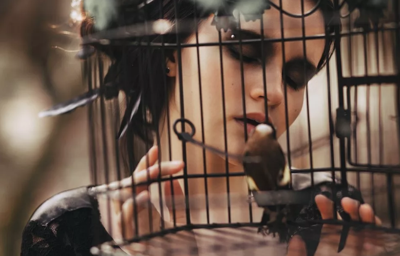 Фото из Интернета