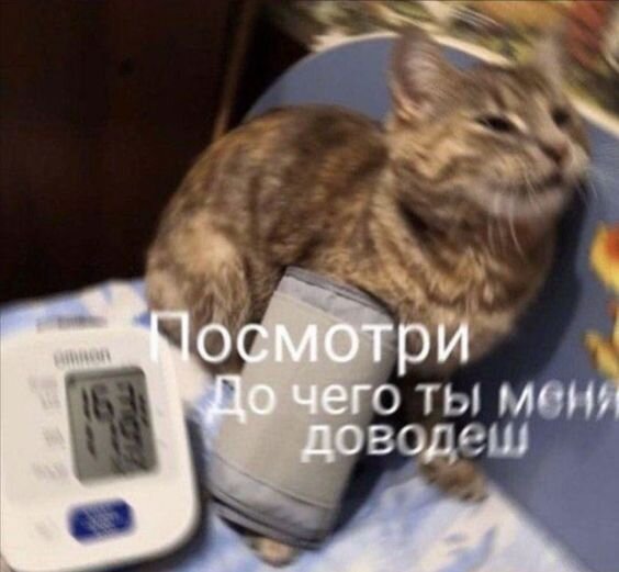 Изображение из Интернета