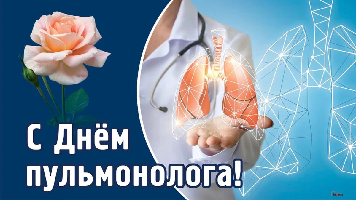 Картинки на 17 мая