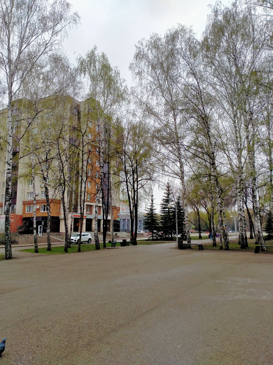 Фото автора 