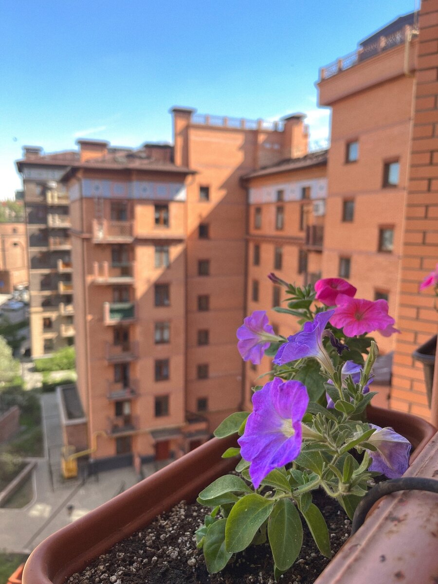 ЖК Город Набережных