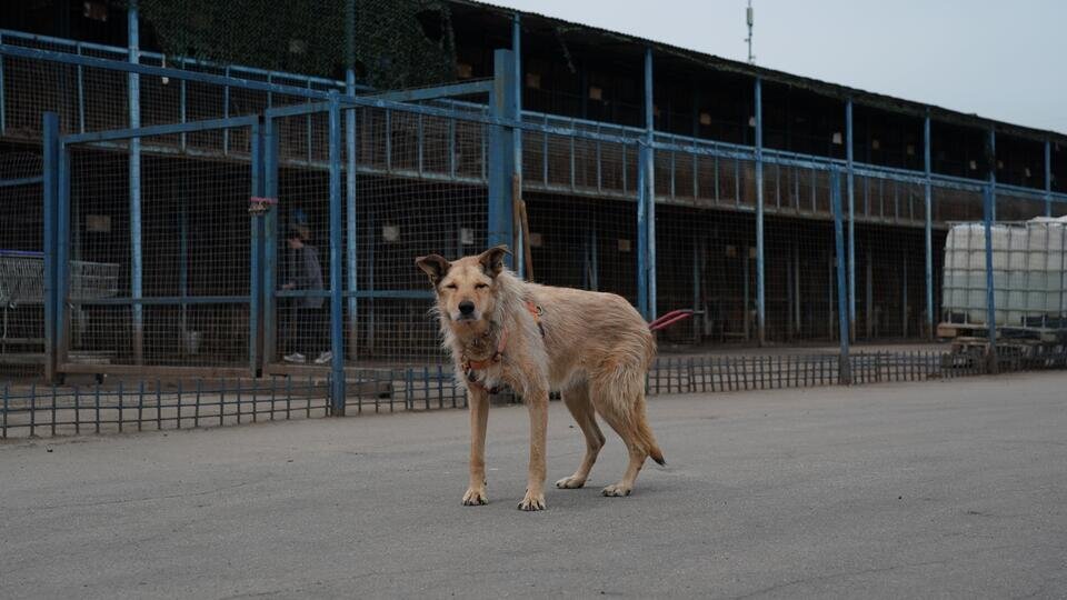 Фото: © Известия/Дмитрий Коротаев