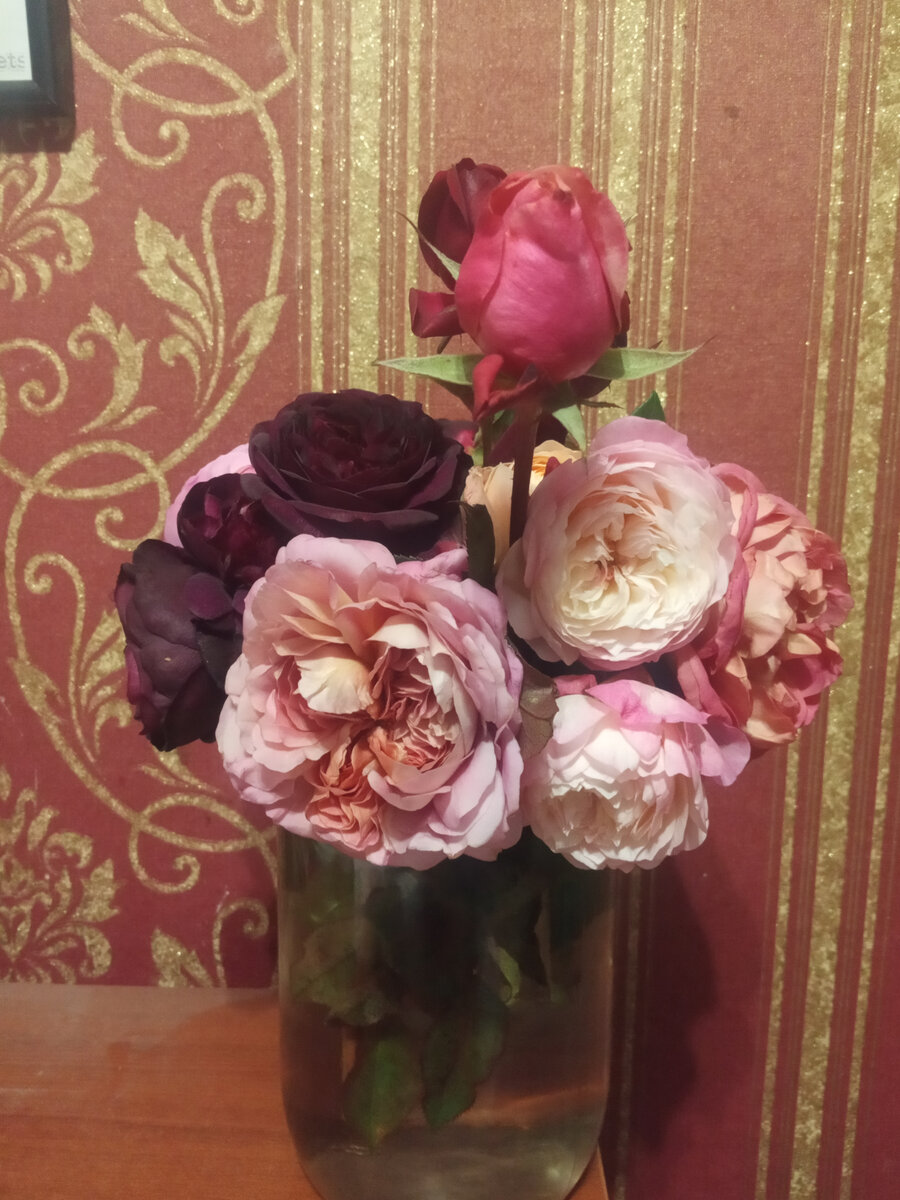 Любимые «розули» в октябре 2022г.: Манстед Вуд, Французское платье, Кейра («остинка»), Мияби (так и осталась в бутоне – осенью уже не открылась)