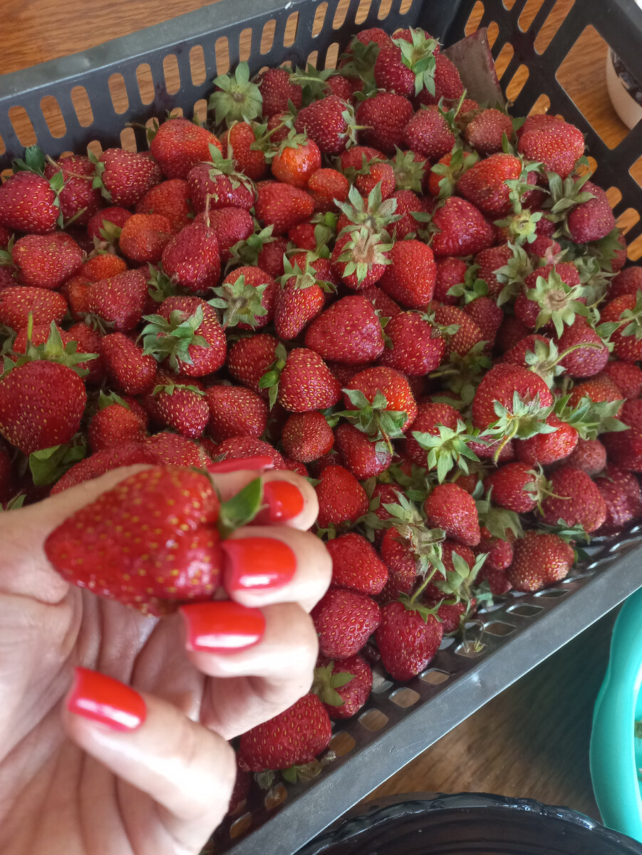 чувствуете аромат?