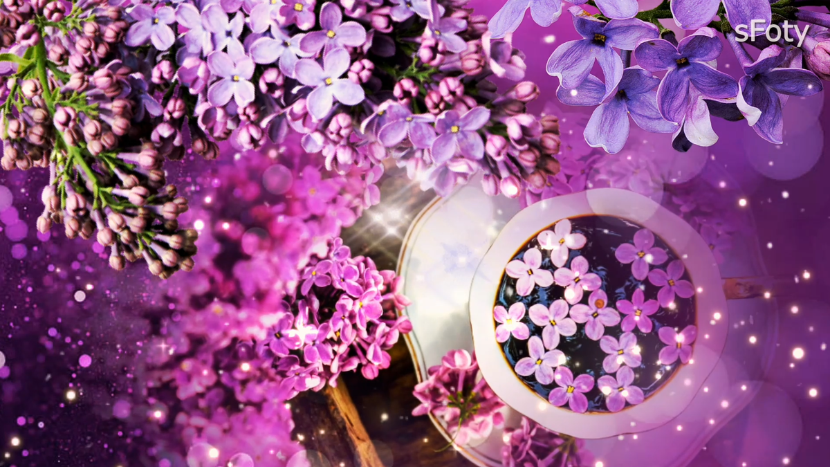 Автор фото коллажа sFoty