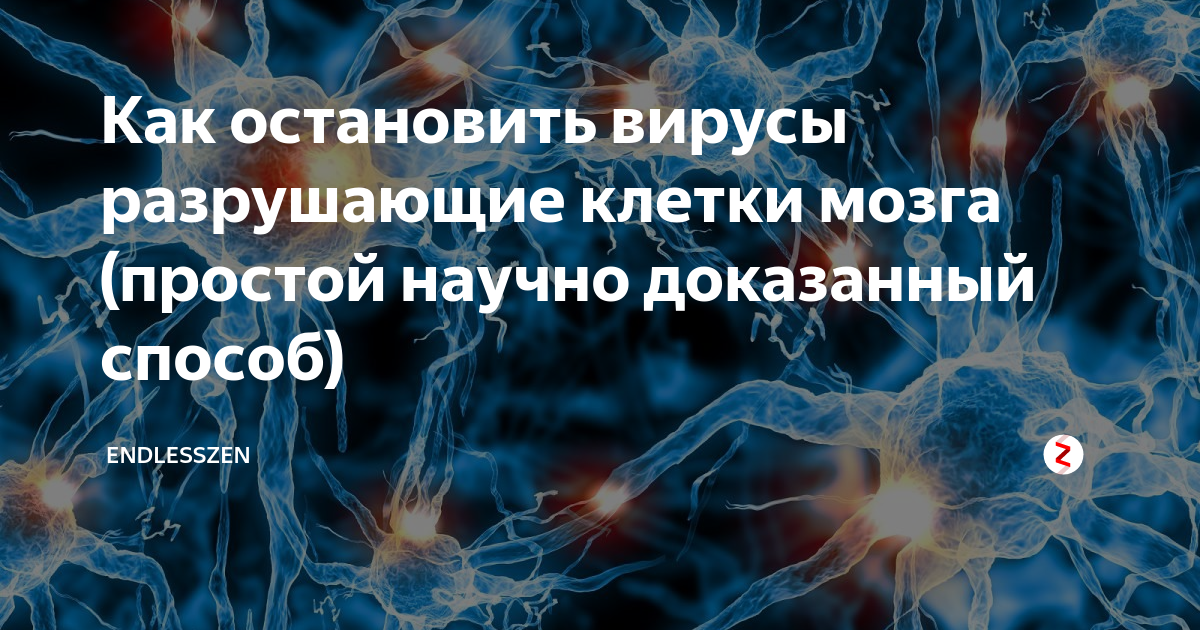 Компьютерные вирусы для детей. Виндовс заблокирован вирус. Вирус сломал. Вирус сломал. Ad go компания.