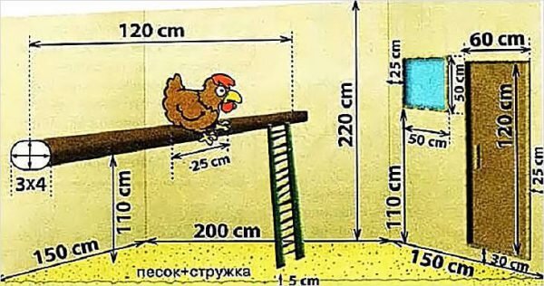 Курятник своими руками на 10 и 20 кур - фото и чертежи