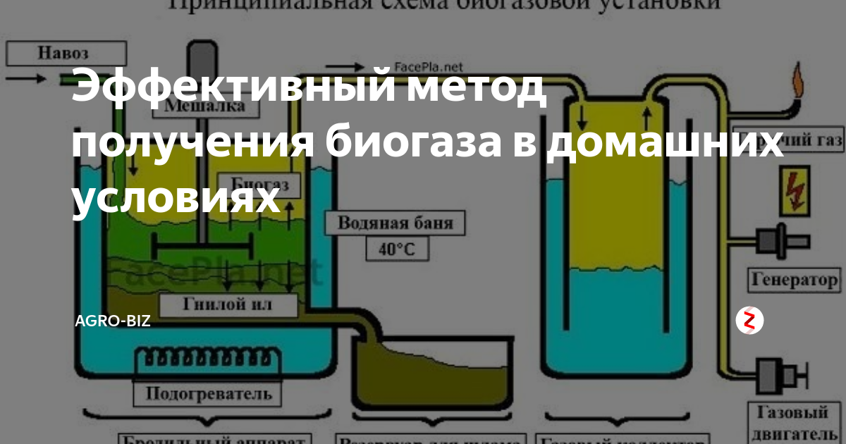 Из навоза - биогаз, из биогаза - электроэнергия