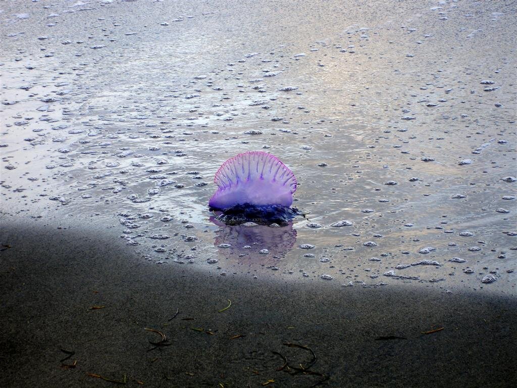 2. Фото не мое, ссылки на автора и лицензию в конце статьи