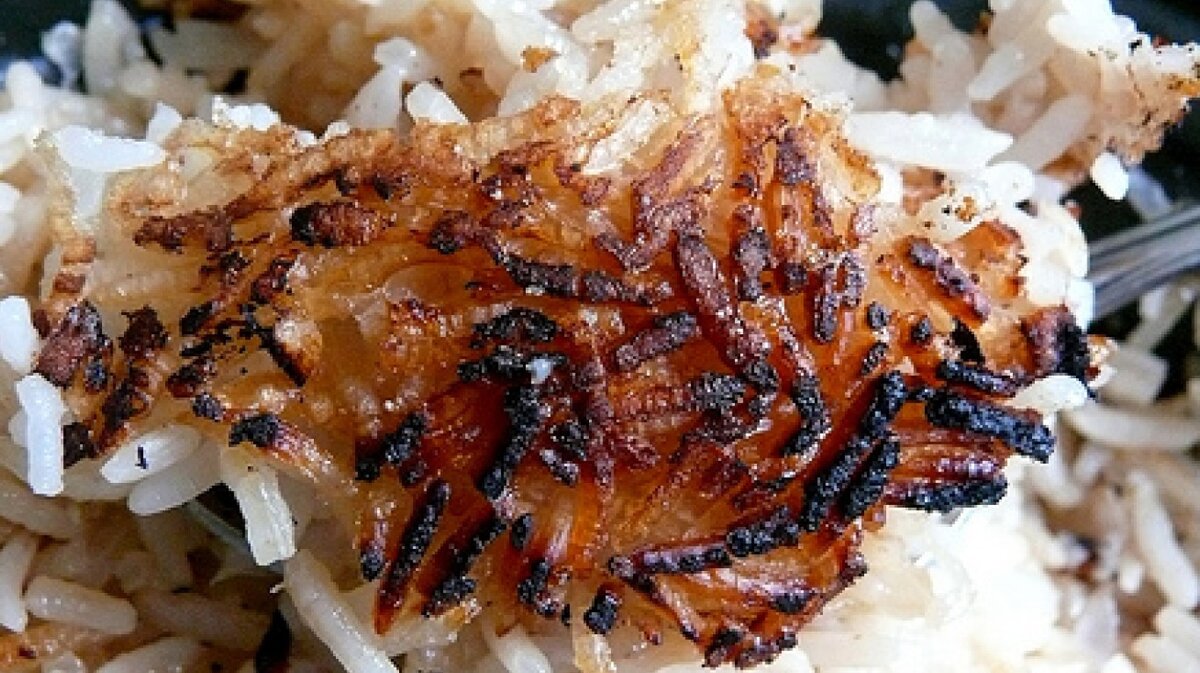 Подгорелый поджаренный лук. Подгоревший лук. Обжаренный лук. Подгоревший рис. Подгорел лук.