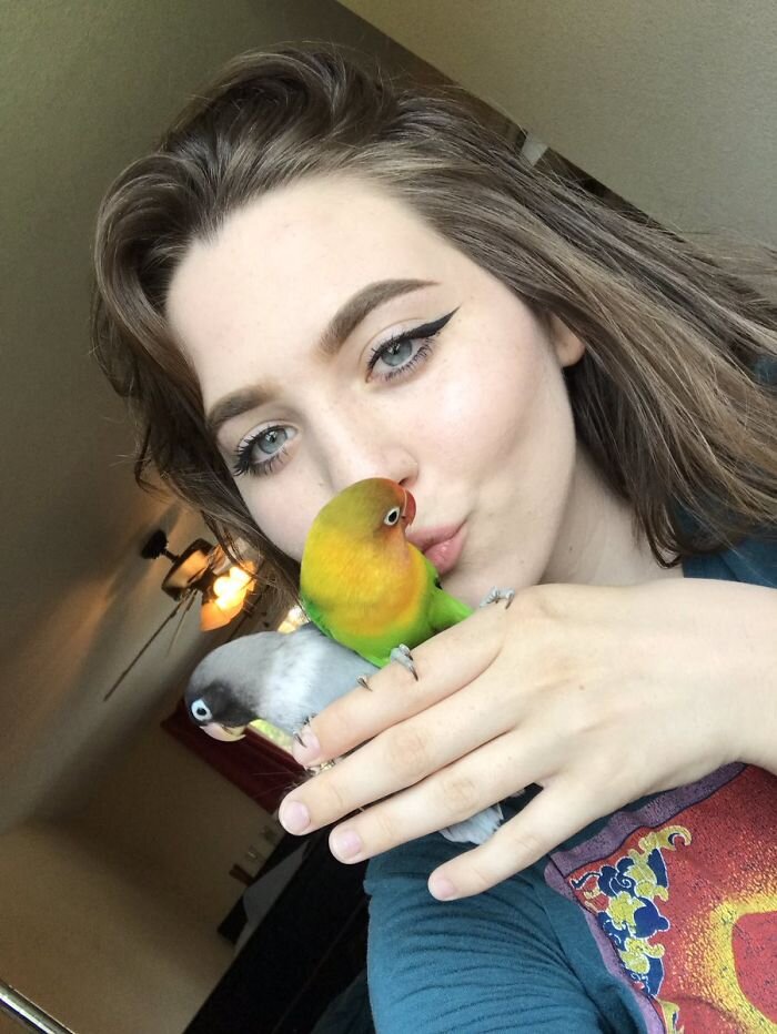 фото: spysparrow.me