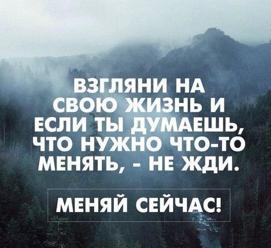 120 цитат про жизнь, которые помогут вдохновиться и задуматься