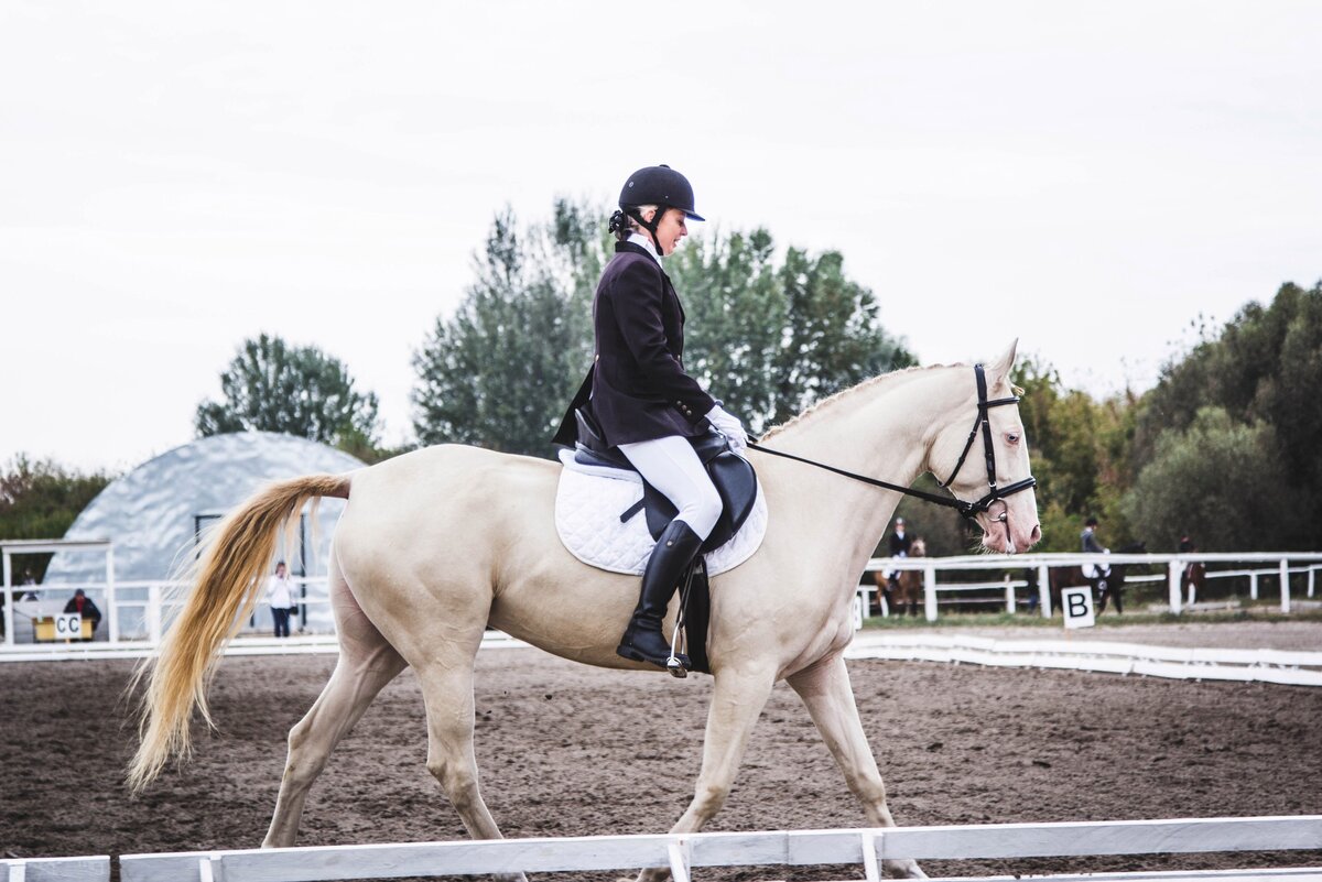 Конноспортивная школа НИУ «БелГУ»