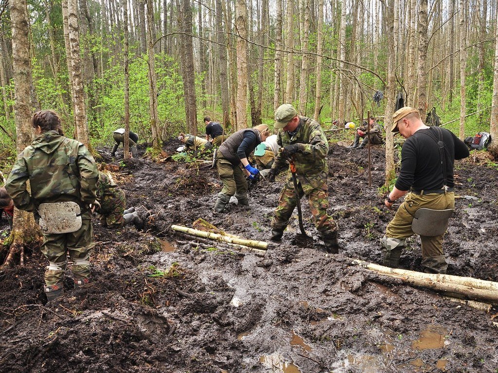 Волховский фронт поисковый отряд. Поисковый отряд Новосибирск. Поисковый отряд Тихвин.