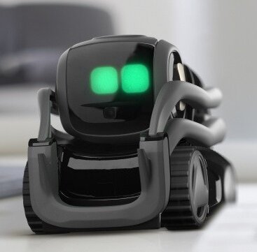 Vector store robot kickstarter