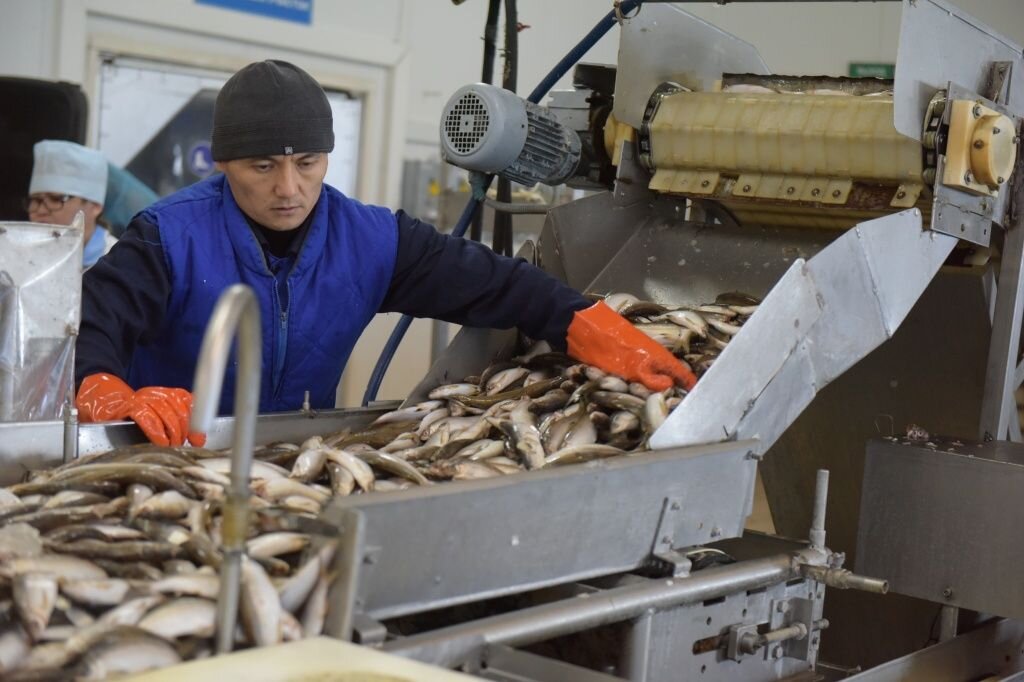 Возможно, в будущем на Салехардском рыбокомбинате начнут выпускать даже рыбу по-корейски