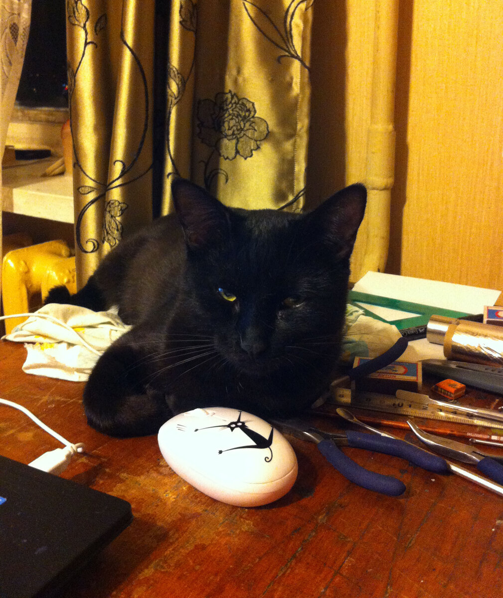 Чо? Работать?