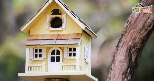 изображение: depositphotos.com