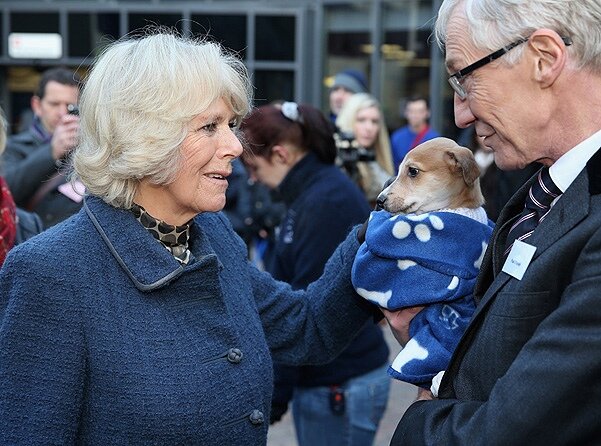 Фотография из открытого источника