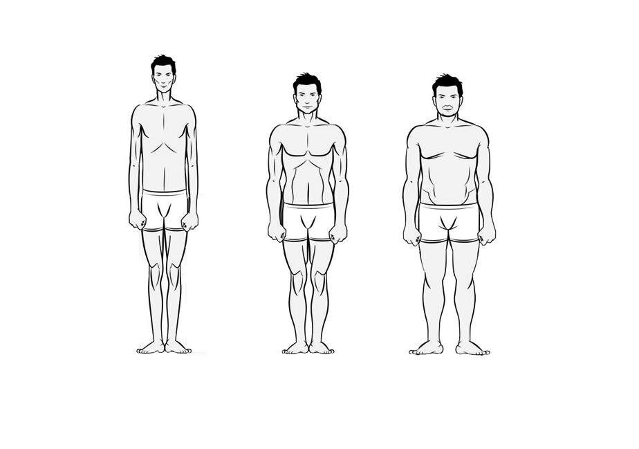 Фигура человека название. Эктоморф мезоморф и эндоморф Шелдон. Астеник (эктоморф). Конституциональные типы телосложения по Черноруцкому. Типы фигур эктоморф эндоморф мезоморф.