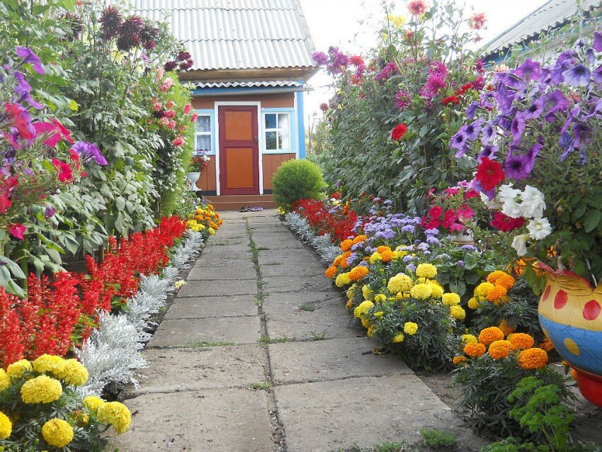 Цветы перед домом дизайн (34 фото)