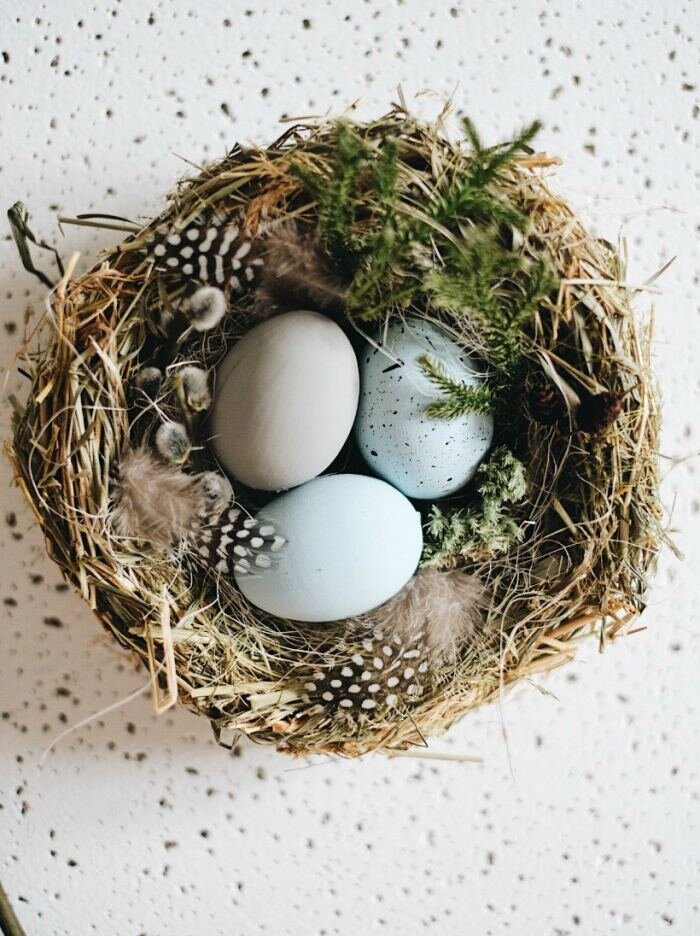 Птичье гнездо своими руками — красивая поделка из подручных материалов