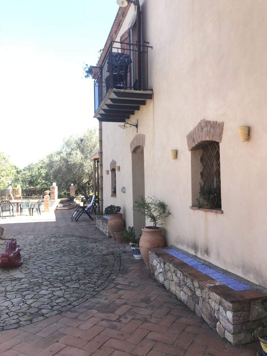 Фото фермы, куда нас занесло