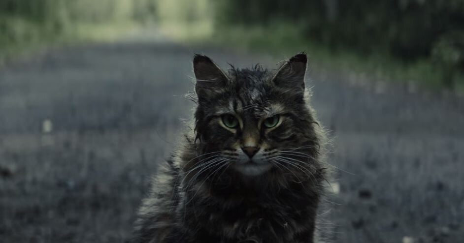 Кадр из фильма "Кладбище домашних животных" (2019)