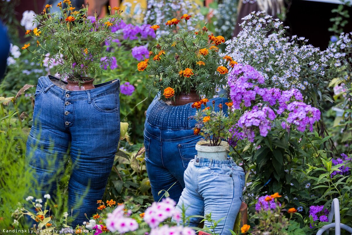 Фото Дмитрия кандинского.