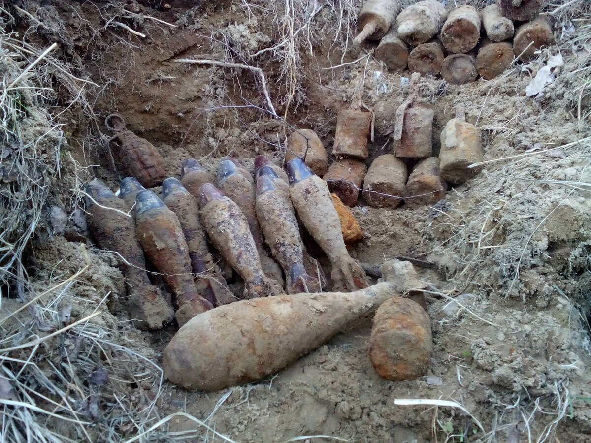 В окрестностях урочища Вороново, Ленинградская область