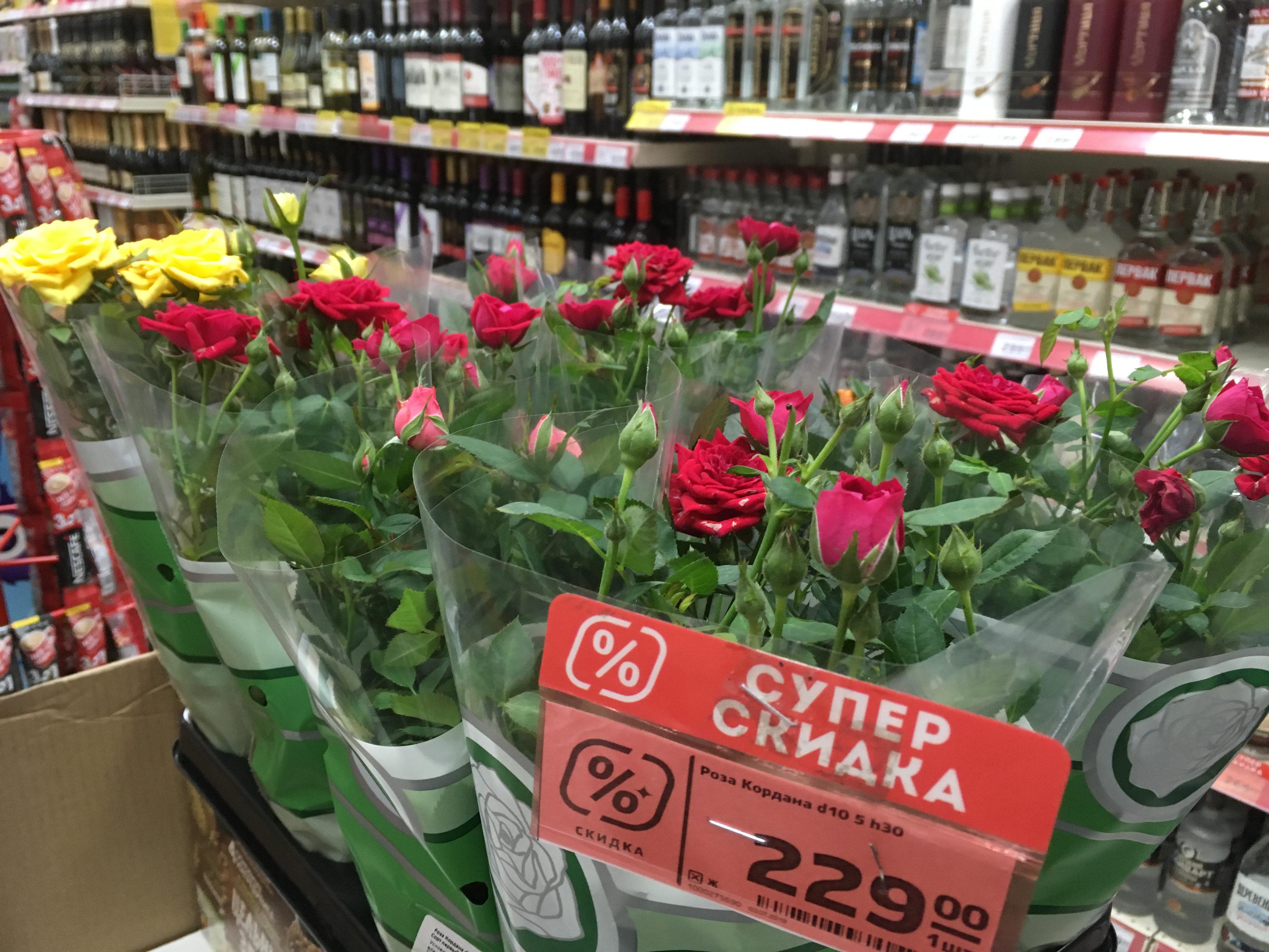 Ред 22 рф. Цветы которые продают в магните. Магнит "розы". Розы в супермаркете в горшках. Розы в цветочном магазине.