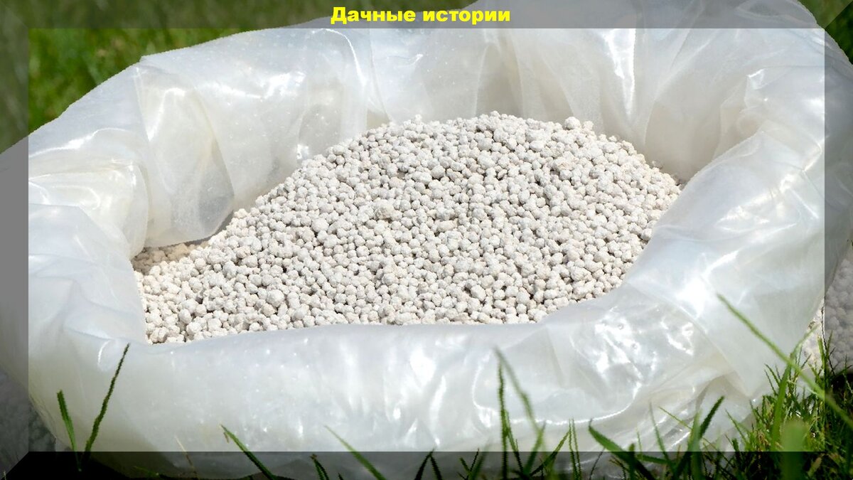 https://vk.com/photo-159774511_457242156