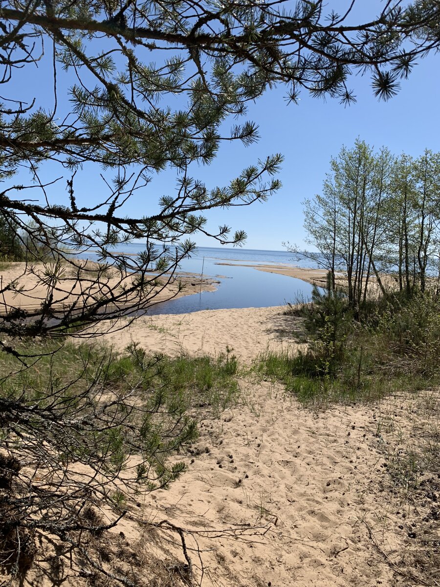 Озеро Пейпси. Фото из архива Галы Грибоедовой