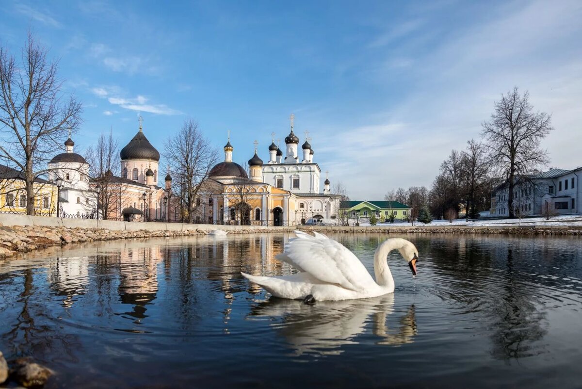 Подмосковье. Вознесенская Давидова пустынь. Вознесенская Давидова пустынь весной. Вознесенская Давидова пустынь лебеди. Талеж Давидова пустынь лебеди.