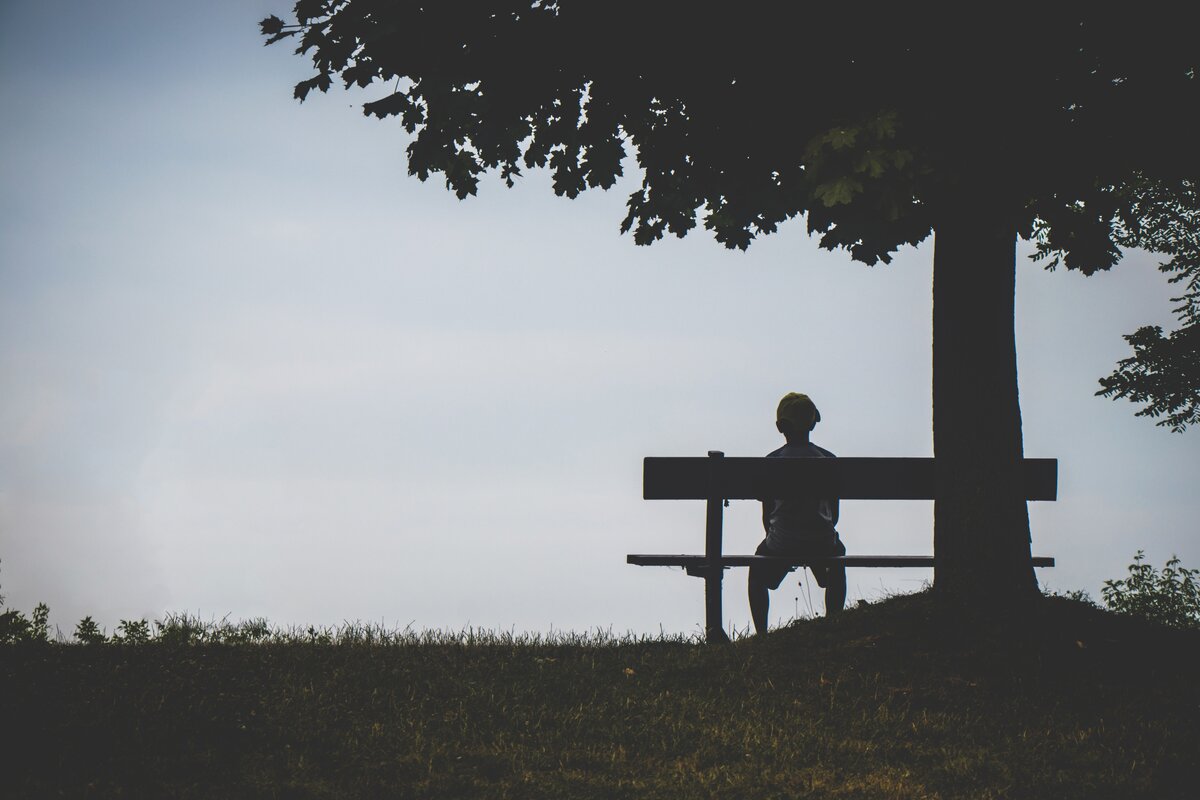 Источник изображения: https://www.pexels.com/ru-ru/photo/1280162/                               Автор: Jeswin Thomas