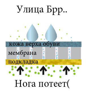 Схема без рекламных прикрас, мембрана в работе.