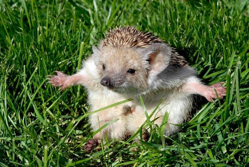 Опаньки, уже новое десятилетие на носу, а Я не в курсах, что будет модно в продажах и маркетинге b2b, hard b2b, Enterprice b2b, gaz & neft prodaction.