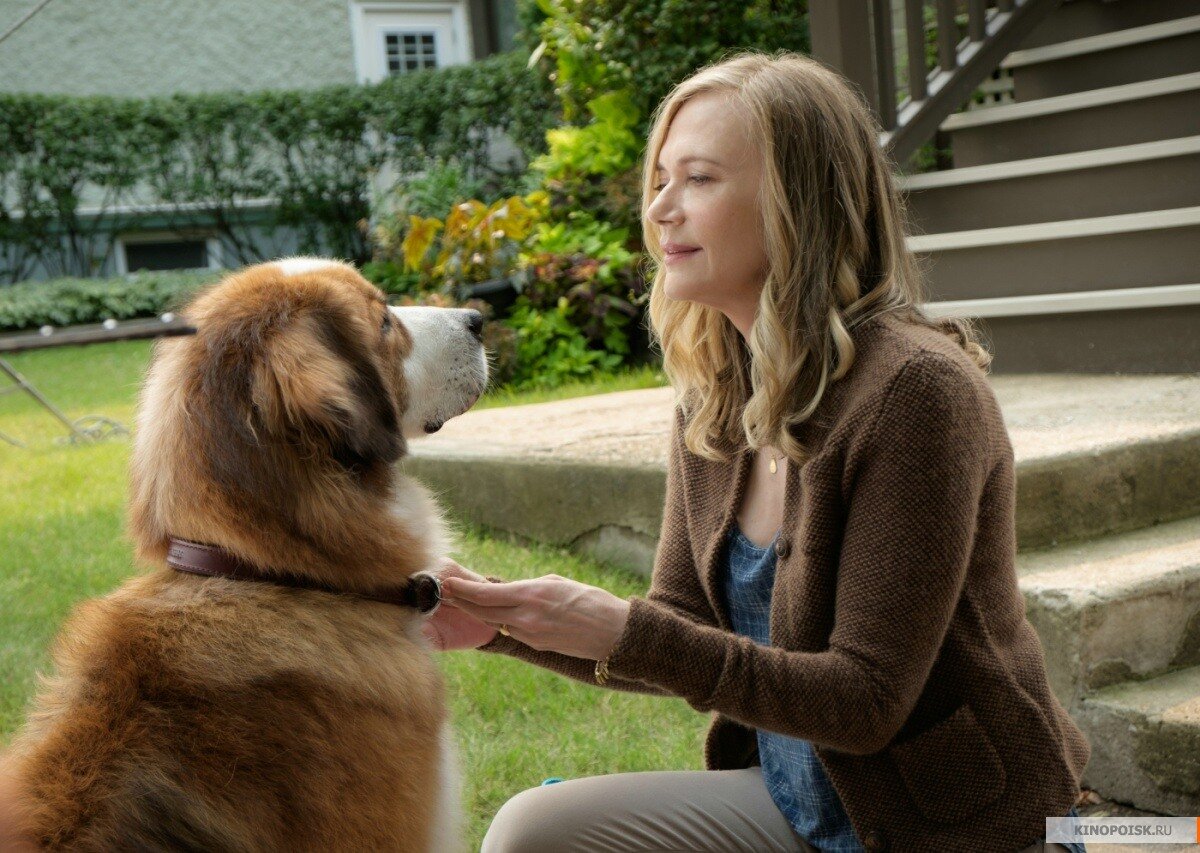 Очень милый пёсик =) Кадр из фильма "Собачья жизнь" с сайта КиноПоиск