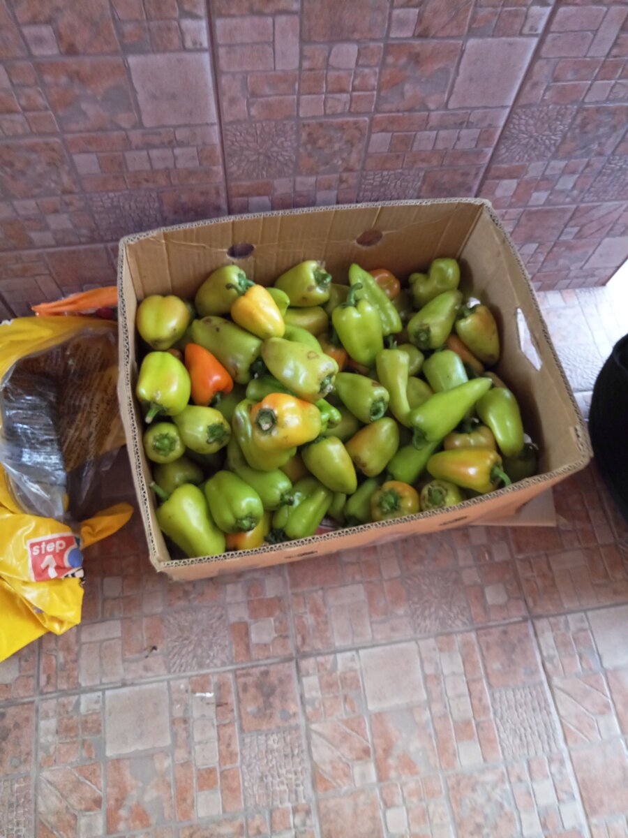 Повезло заполучить коробку вкусных перчиков почти задарма