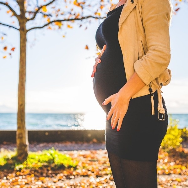 https://pixabay.com/photos/autumn-fall-maternity-nature-ocean-1850044/