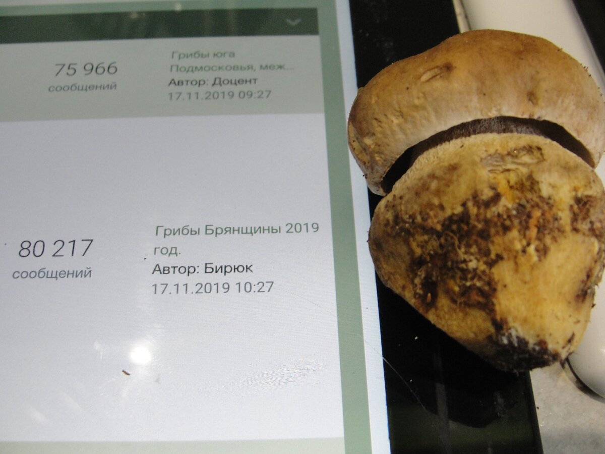 форум вместо газеты с числом